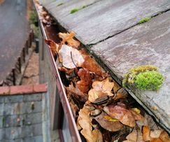 Gutter clearing in Cardiff
