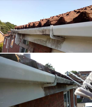 Gutter cleaning cardiff